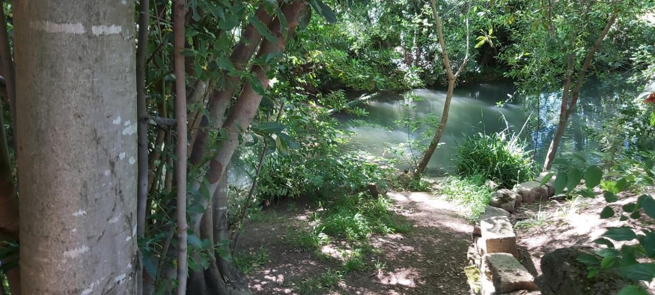 Ferienwohnung Au Bord De L'Alzon Uzès Exterior foto