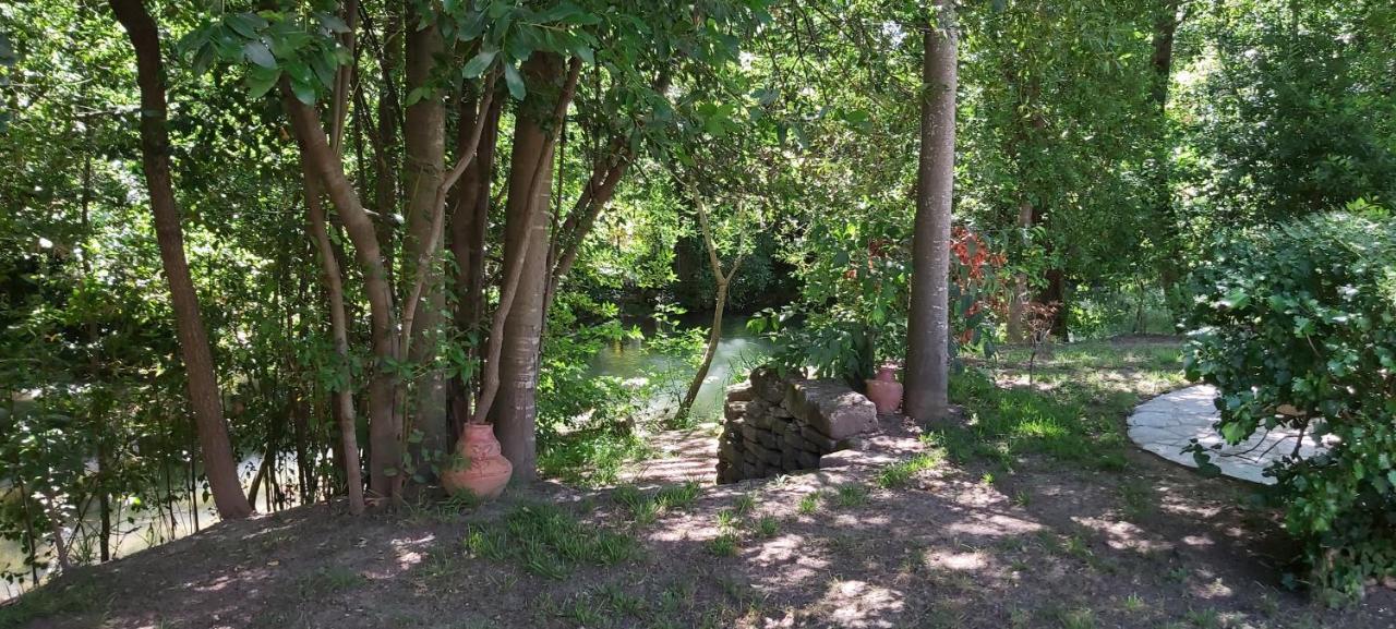 Ferienwohnung Au Bord De L'Alzon Uzès Exterior foto
