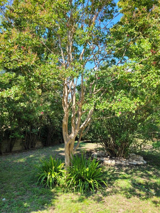 Ferienwohnung Au Bord De L'Alzon Uzès Exterior foto